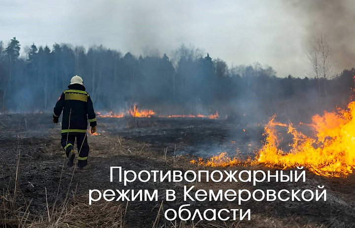 С 15 апреля до 1 июня в Кузбассе установлен особый противопожарный режим