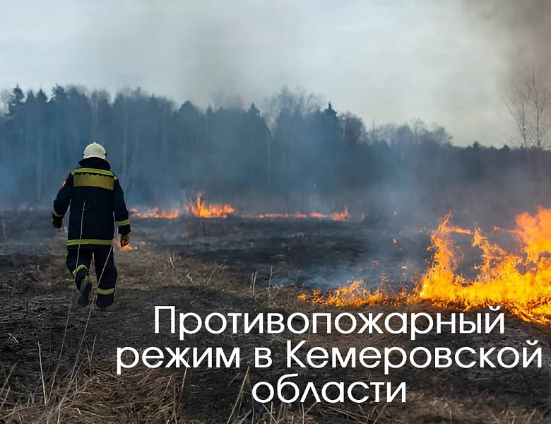 С 15 апреля до 1 июня в Кузбассе установлен особый противопожарный режим