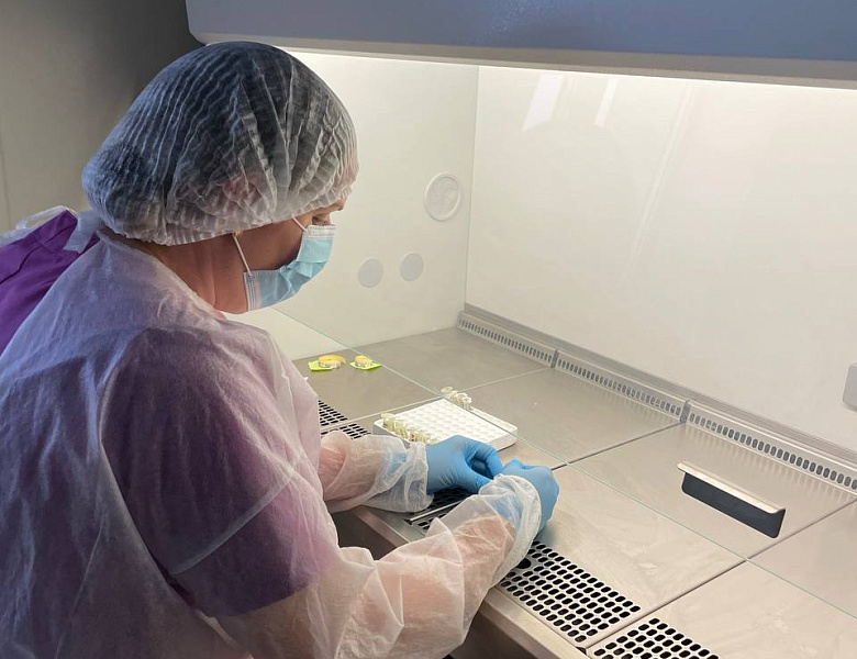 Как наука помогает нам выздоравливать