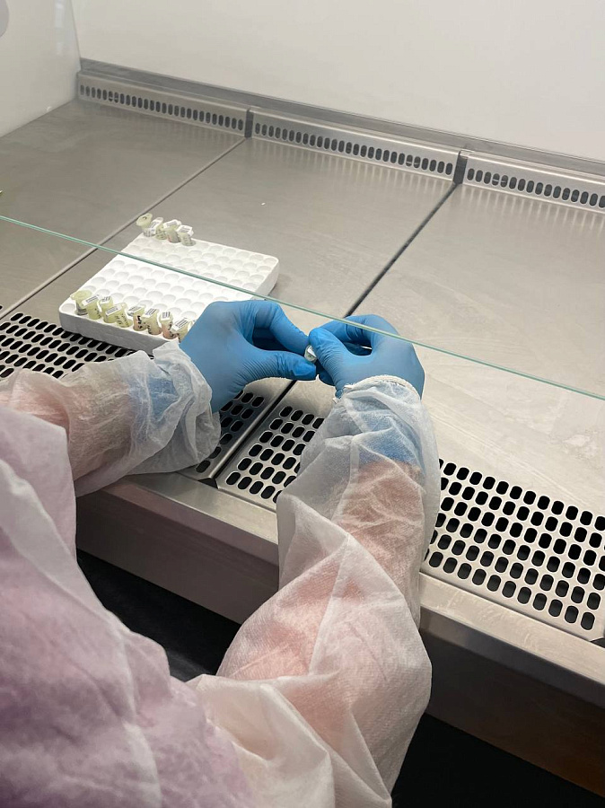 Как наука помогает нам выздоравливать