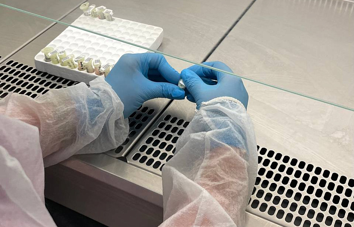 Как наука помогает нам выздоравливать